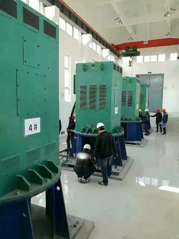 YJTG-160L-8A/7.5KW某污水处理厂使用我厂的立式高压电机安装现场