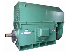 YJTG-160L-8A/7.5KWY系列6KV高压电机